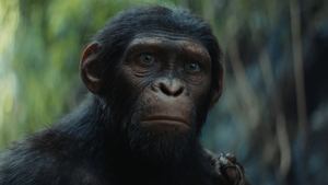 El reino del planeta de los simios 2024 1080p latino