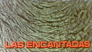 Default Netflix logo