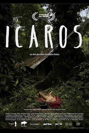 Póster de la película Ícaros