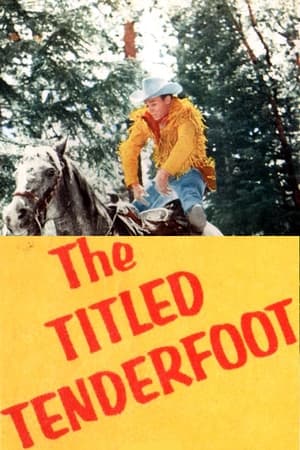 Póster de la película The Tilted Tenderfoot