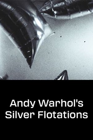 Póster de la película Andy Warhol's Silver Flotations