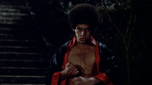 Enter the Dragon