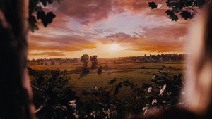 Flipped