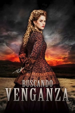 Póster de la película Buscando venganza