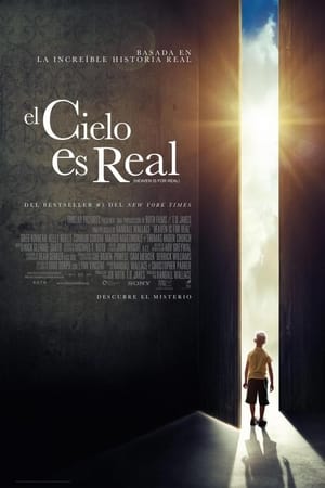 Póster de la película El cielo es real