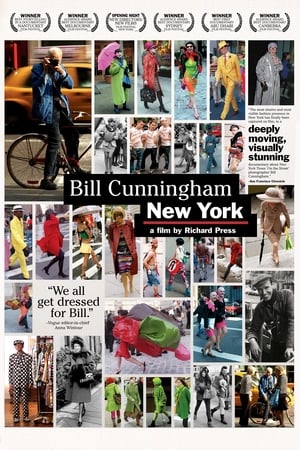 Póster de la película Bill Cunningham New York