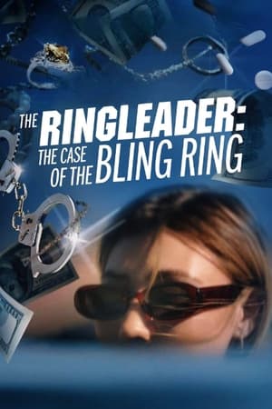 Póster de la película Mente criminal: El caso del Bling Ring