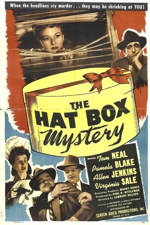 Póster de la película The Hat Box Mystery