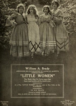 Póster de la película Little Women