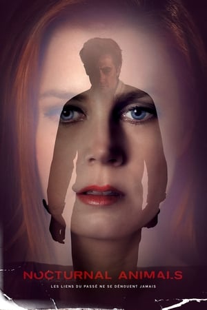 Nocturnal Animals Streaming VF VOSTFR