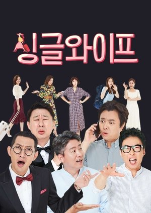 watch single wife tv show poster