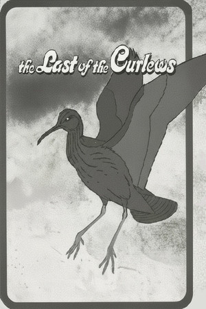 The Last of the Curlews