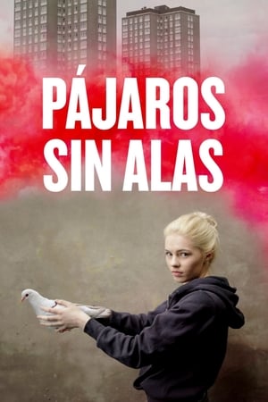 Póster de la película Pájaros sin alas