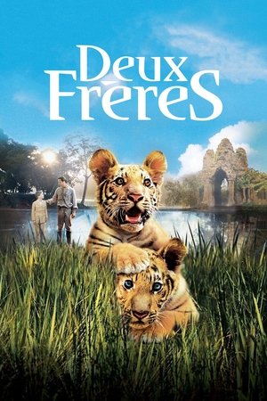 Deux Frères Streaming VF VOSTFR