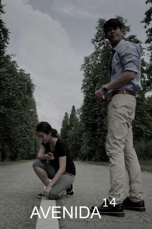 watch avenue 14 tv show free online poster