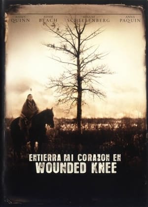 Póster de la película Entierra mi corazón en Wounded Knee