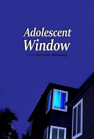 Póster de la película Adolescent Window