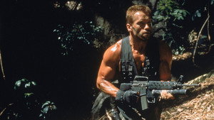 Predator