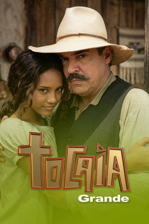 Póster de la serie Tocaia Grande