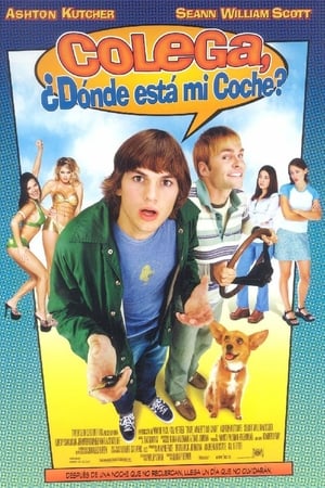 Póster de la película Colega, ¿dónde está mi coche?