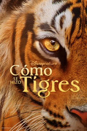 Póster de la película El resurgir de los tigres