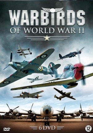 watch warbirds of world war ii tv show poster