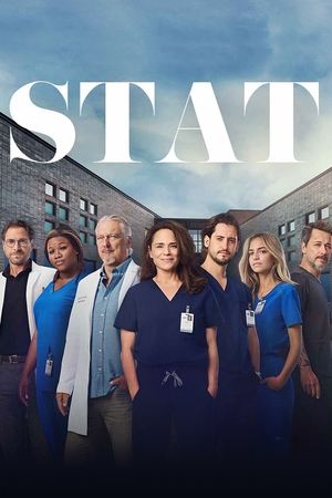 Póster de la serie STAT