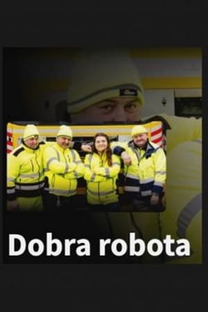 watch dobra robota tv show free online poster