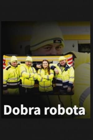 Póster de la serie Dobra Robota