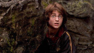 Harry Potter and the Goblet of Fire
