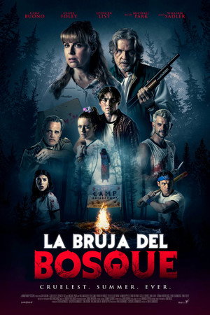 Póster de la película La bruja del bosque