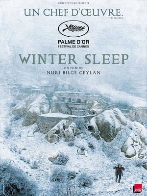 Winter Sleep Streaming VF VOSTFR