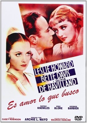 Póster de la película Es amor lo que busco