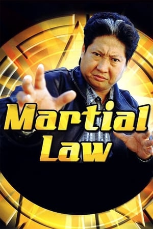 Póster de la serie Martial Law