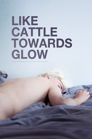 Póster de la película Like Cattle Towards Glow