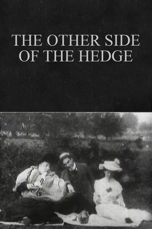 Póster de la película The Other Side of the Hedge
