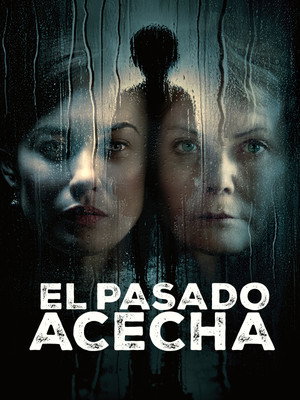 Póster de la película My Sister's Bones
