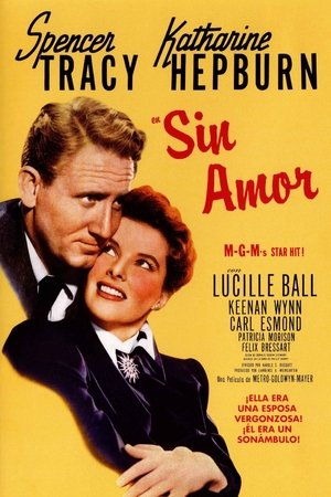 Póster de la película Sin amor