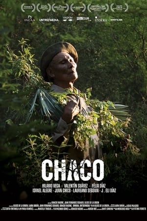 Póster de la película Chaco