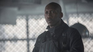 The Hunger Games: Mockingjay - Part 2