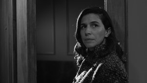 Default Netflix logo