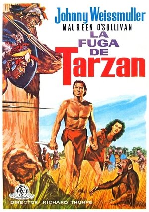 Póster de la película La fuga de Tarzán