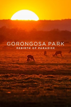 watch gorongosa park: rebirth of paradise tv show poster