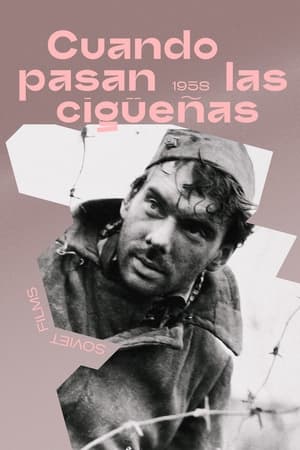 Póster de la película Cuando pasan las cigüeñas