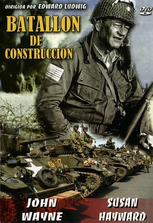 Póster de la película Batallón de construcción