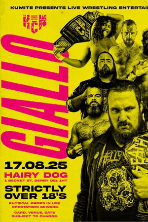 Default Netflix logo