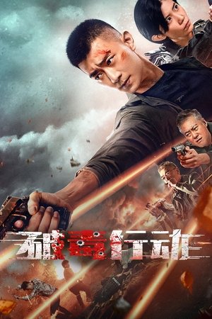 Póster de la película 破毒行动