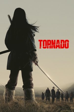 watch tornado movie poster