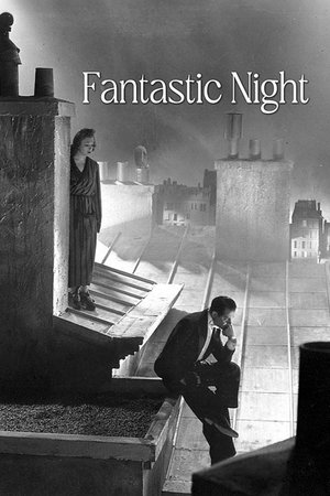 watch fantastic night movie poster