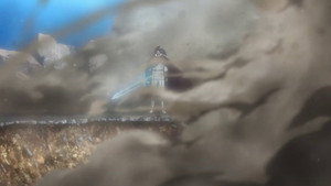 Bleach